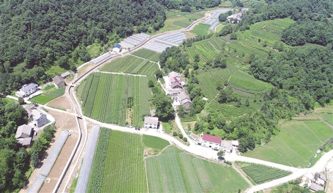 村庄建设标准(村庄建设规划的年限一般为几年)