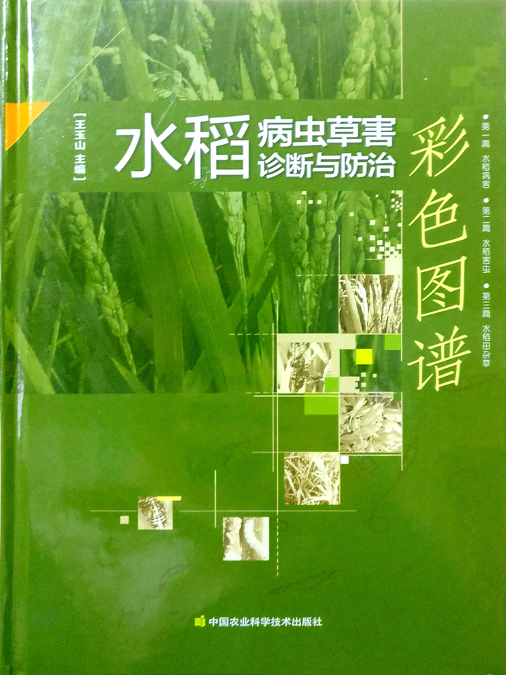 水稻害虫防治方法(水稻害虫防治方法视频)