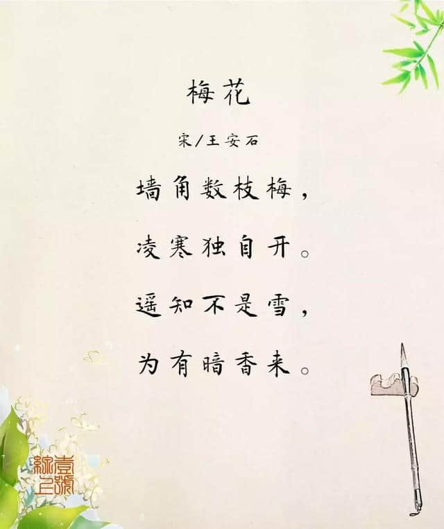 白菜的古诗(白菜的古诗句)