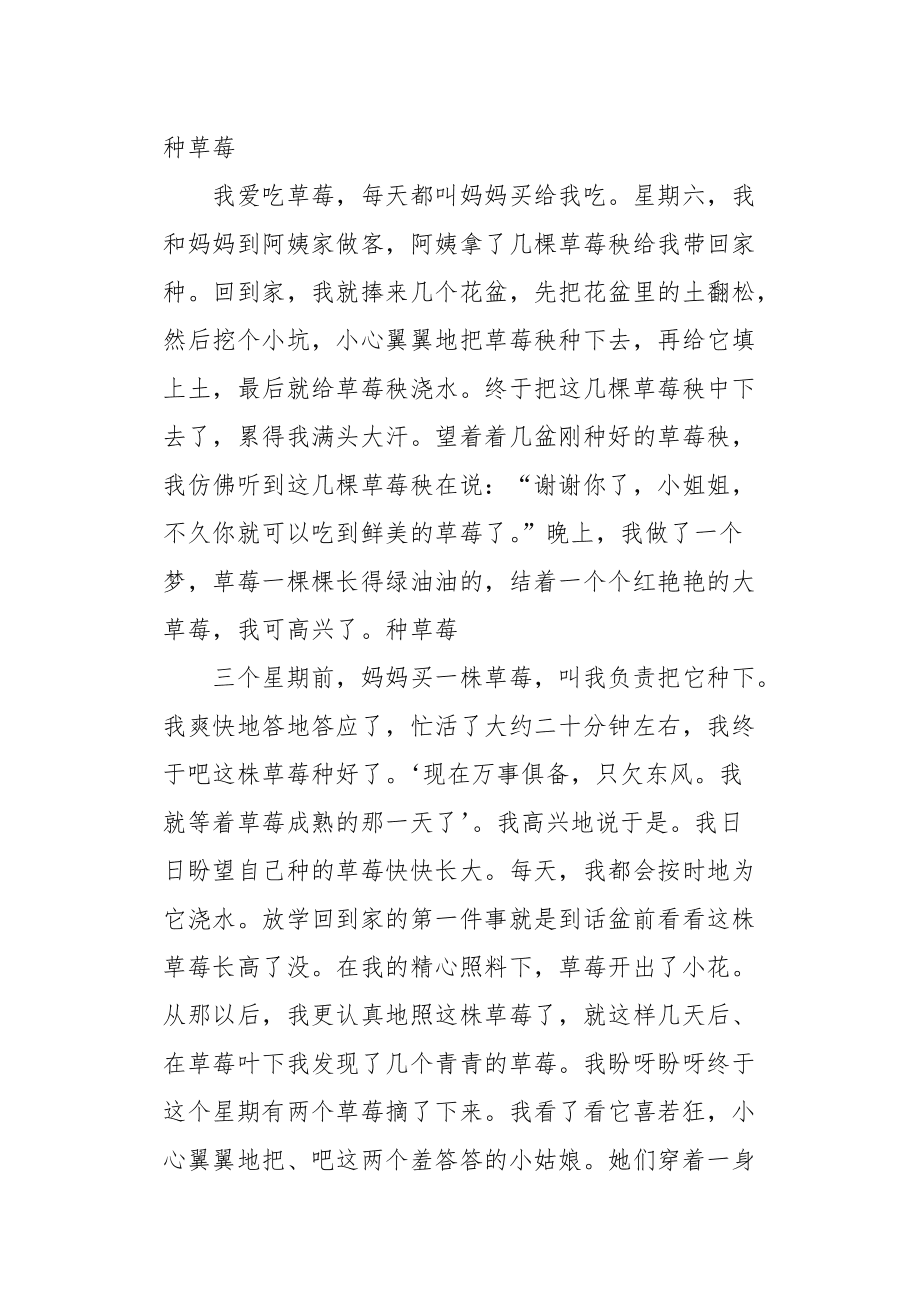 日记种草莓300字(日记种草莓300字四年级)