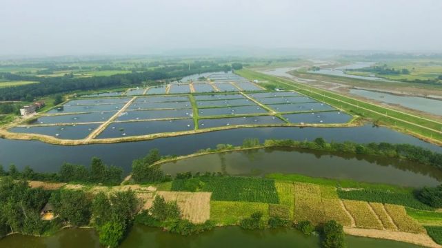 万亩水产养殖基地(万亩水产养殖基地有哪些)