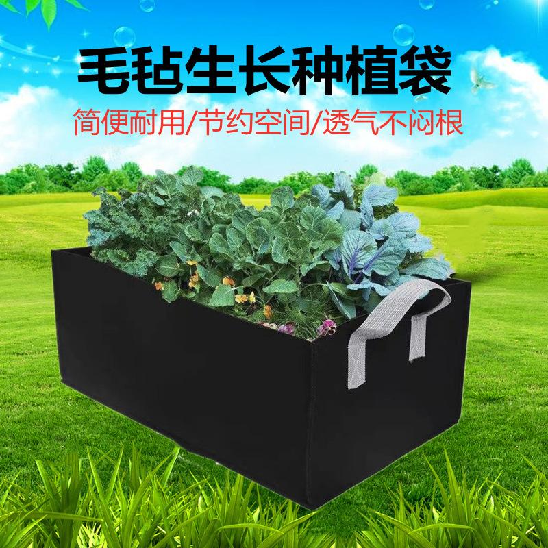 育苗生长袋(育苗袋育苗技术视频)