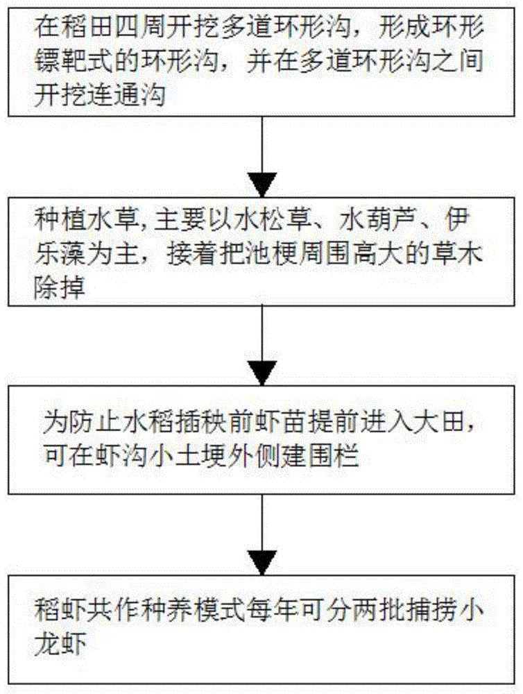 稻田套养小龙虾养殖技术(稻田小龙虾养殖池塘建造图)