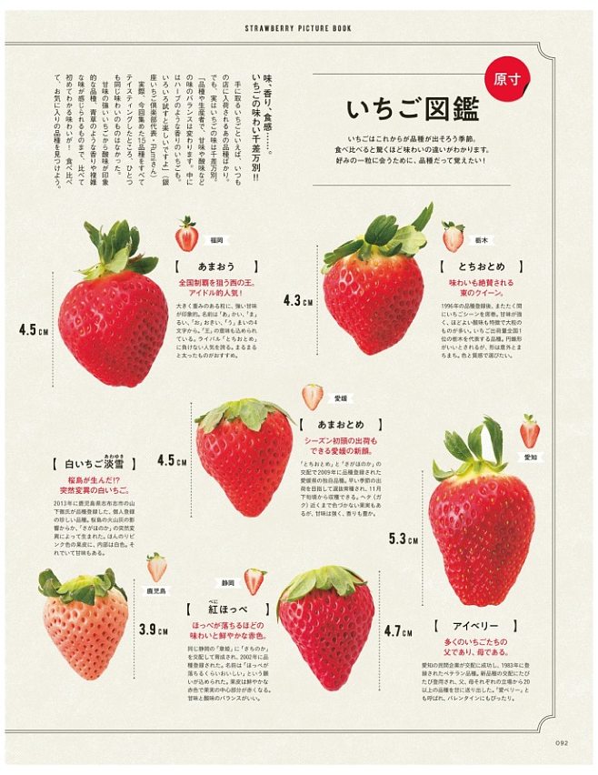 草莓贮藏保鲜方法(草莓榨汁的最佳搭配)