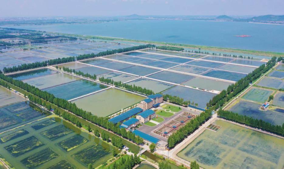 水产养殖示范区(水产养殖示范区规划方案)