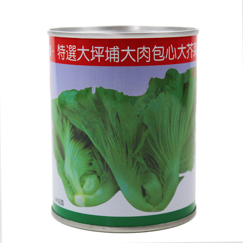 芥菜菜种子(芥菜种子的功效与作用)