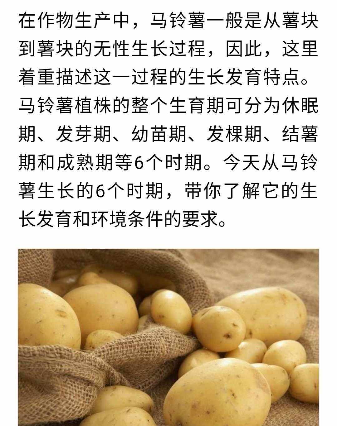 夏季怎么种土豆(夏天种土豆什么时候出土)