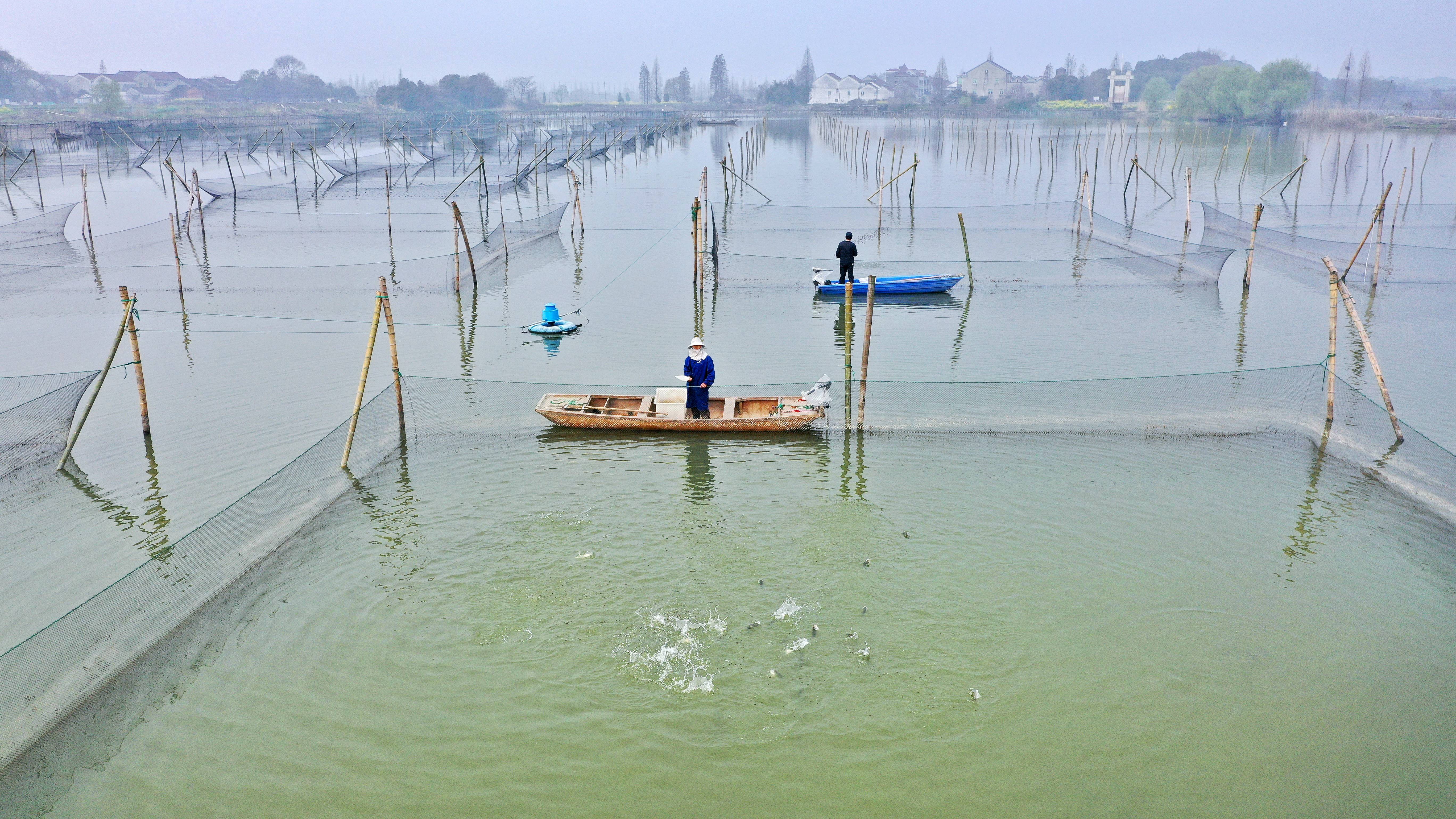 珠海斗门水产养殖(珠海斗门水产批发市场)