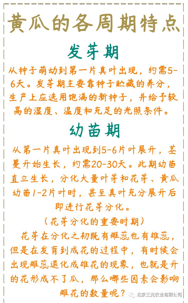 黄秋葵怎么种植方法(请问黄秋葵的种植时间 和种植的方法)