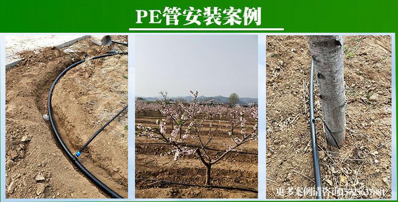 灌溉强度(灌溉强度是什么意思)