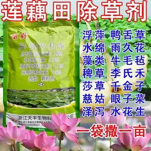 84可以除草吗(用84液和什么可以除草)