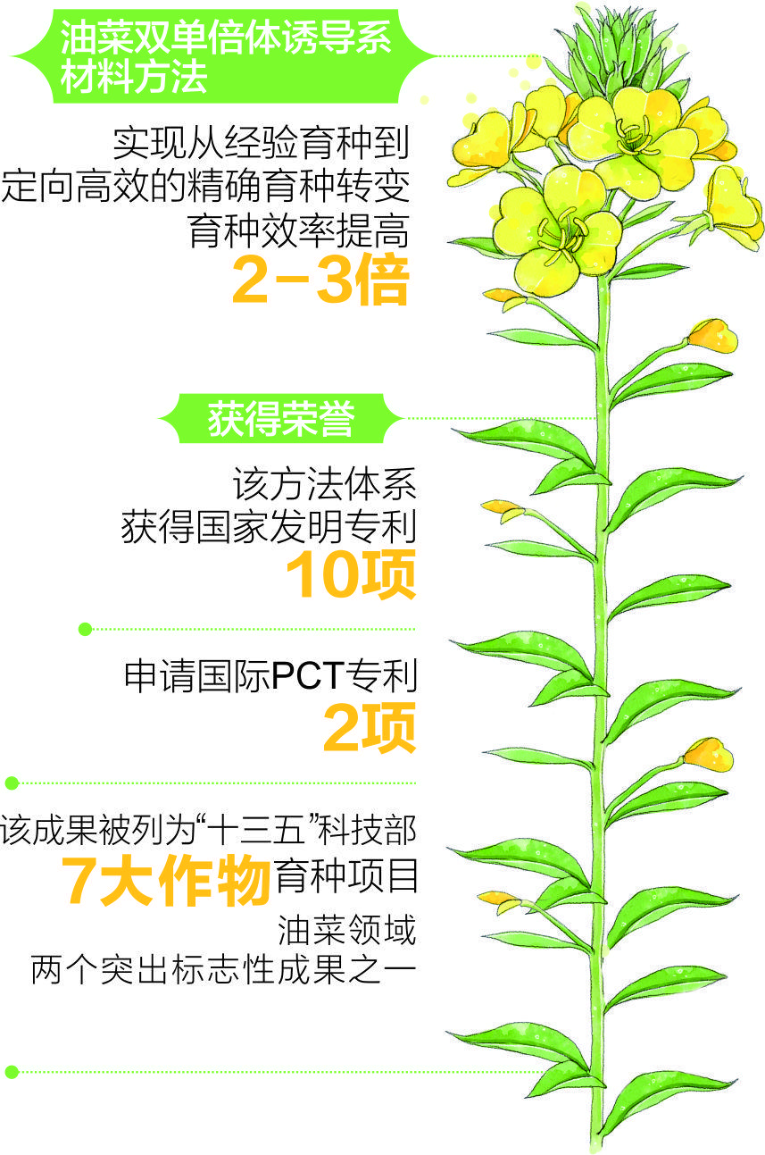 甘草施肥方案(甘草追肥应以哪种为主)