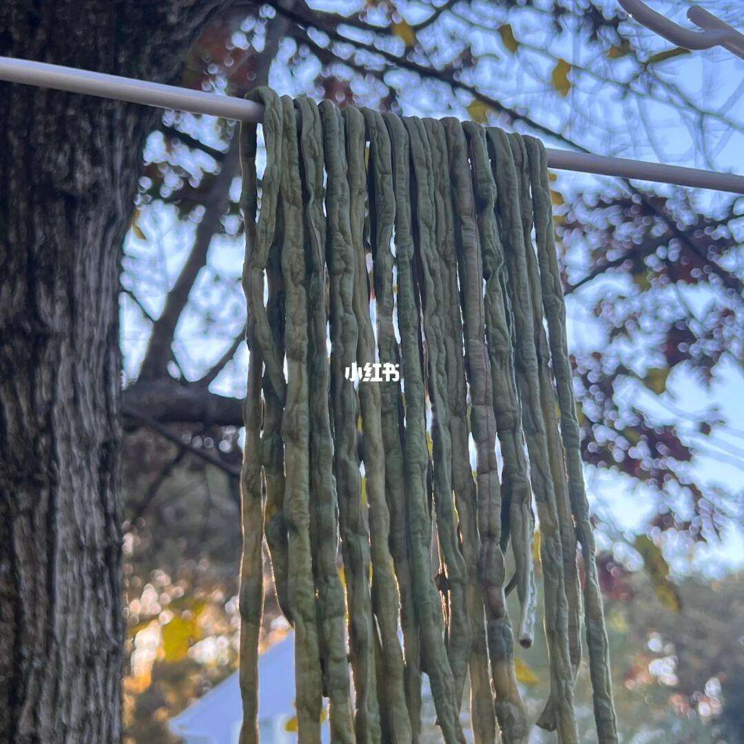 东北豆角干是怎么晾晒的(东北晒豆角干的晒制作方法)