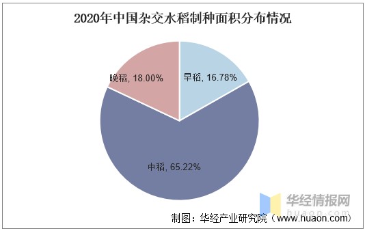 中国杂交水稻种植面积(杂交水稻种植面积有多大)