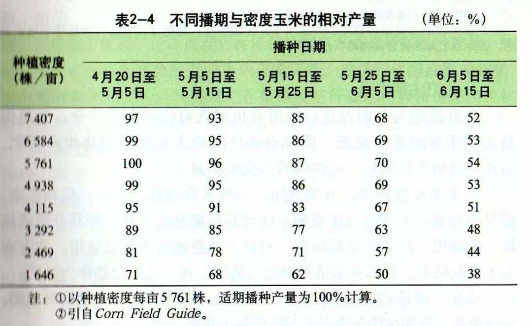 新疆玉米施肥方案和比例(新疆玉米的种植方法与时间)