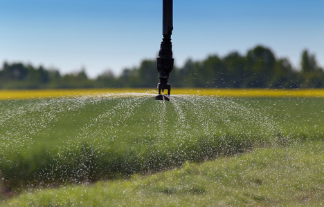 春季灌溉时间(夏季灌溉最佳时间)