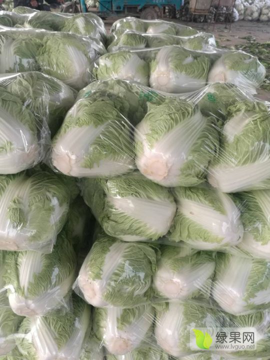 白菜几月份上市(白菜几月份上市最好)