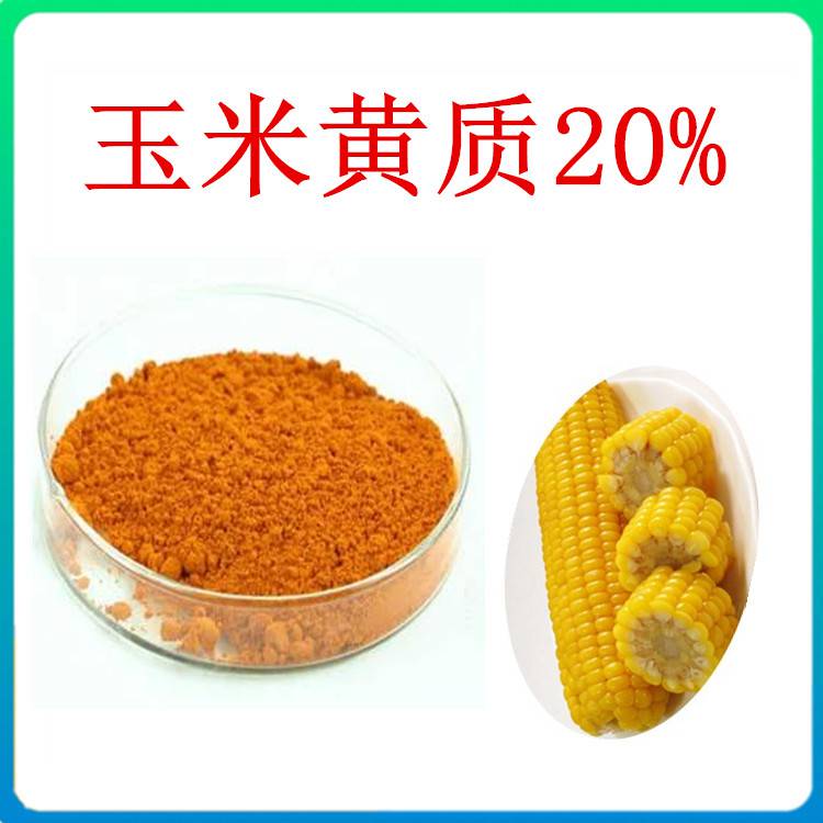 玉米含玉米黄素吗(玉米含玉米黄素吗百度百科)