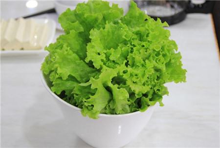 哪种生菜营养价值高(哪种生菜营养价值高一些)