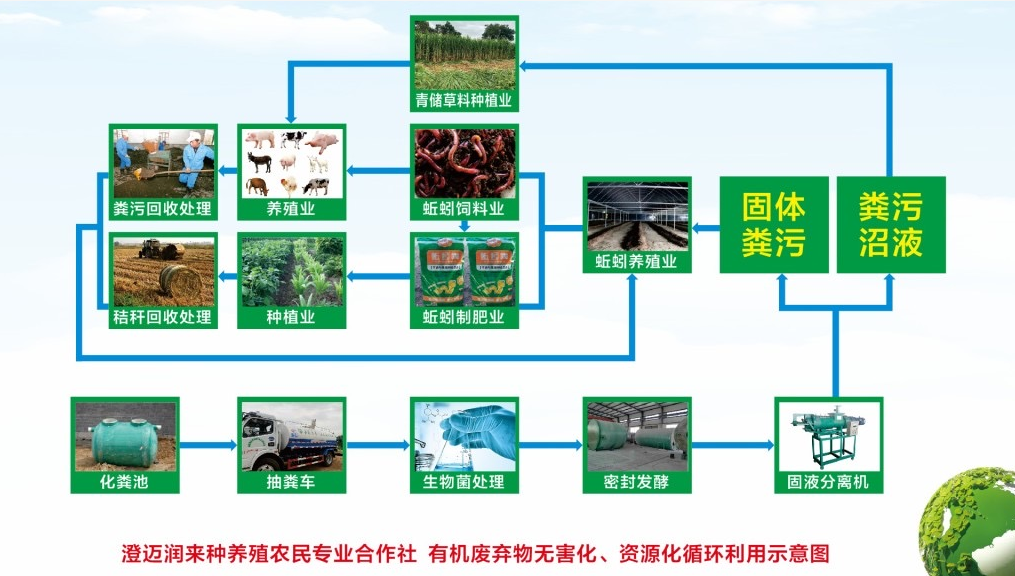 羊粪种蔬菜怎么用(羊粪种蔬菜怎么用的)