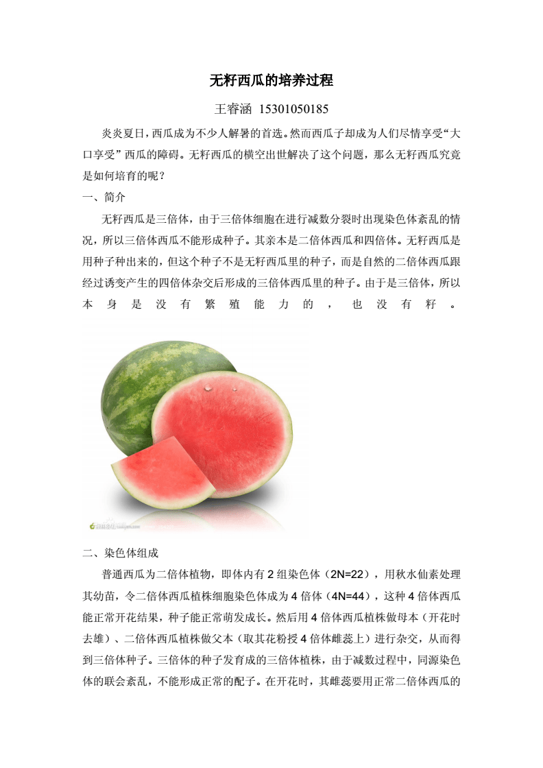 西瓜吊瓜的种植方法及管理办法(西瓜吊瓜的种植方法及管理办法视频)