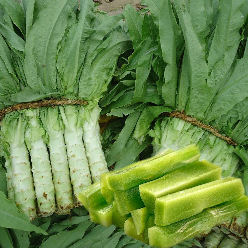 莴笋的介绍(莴笋介绍小报)