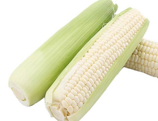 白色玉米是转基因的吗(白色玉米是转基因食品吗)