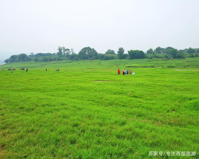 青青延中草(青青延中草刘成章)