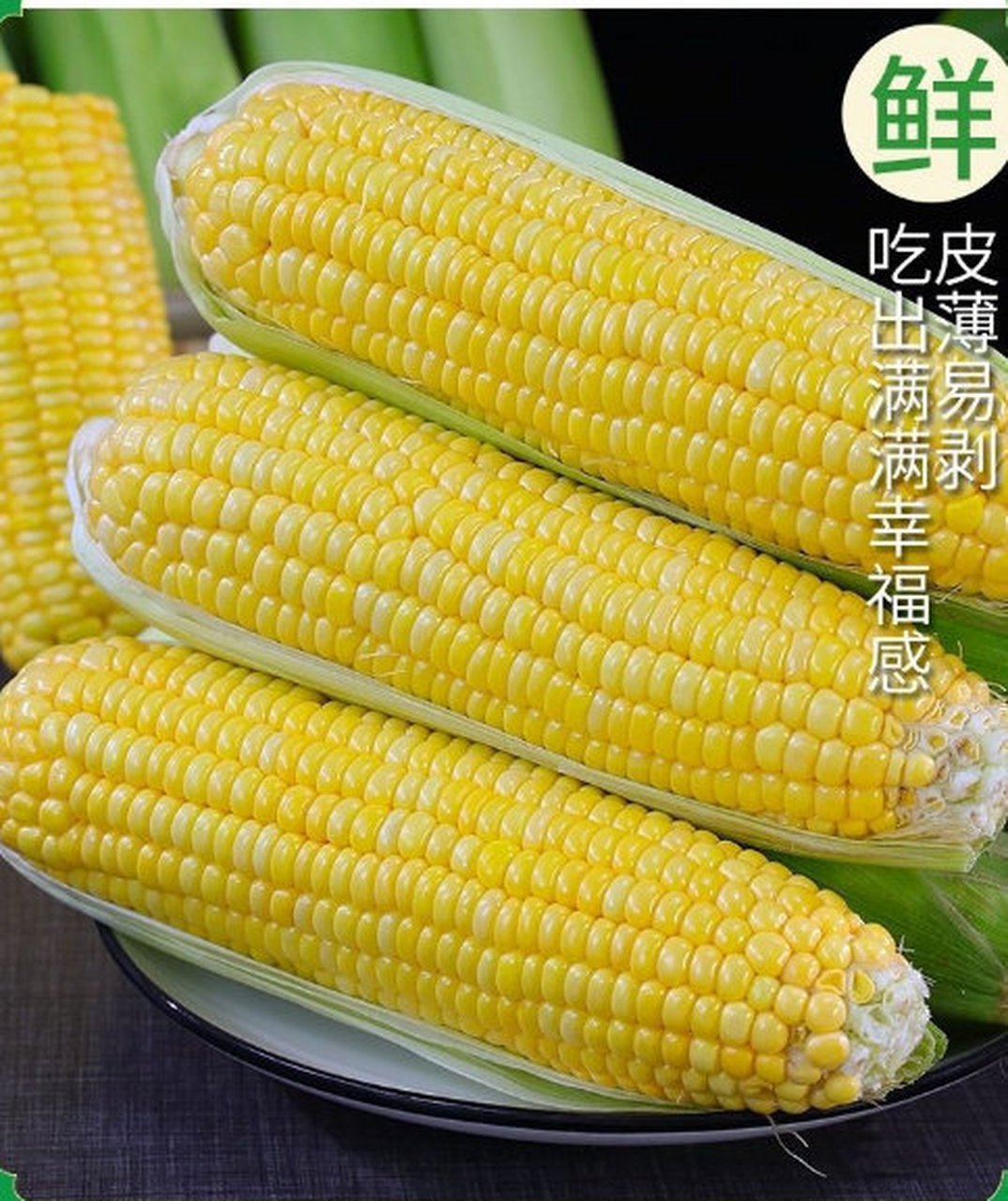 的水果玉米(水果玉米是转基因的吗)