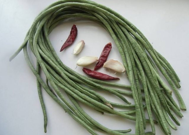 翠绿的豆角(翠绿色豆角新品种)