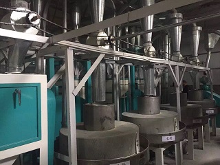 食品加工哪个好(食品加工生意好做吗)
