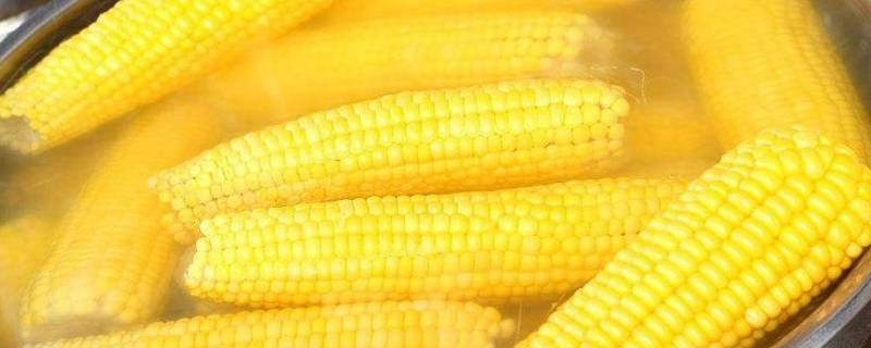 水果玉米是冷水下锅还是热水下锅(水果玉米冷水下锅还是热水下锅口感好)