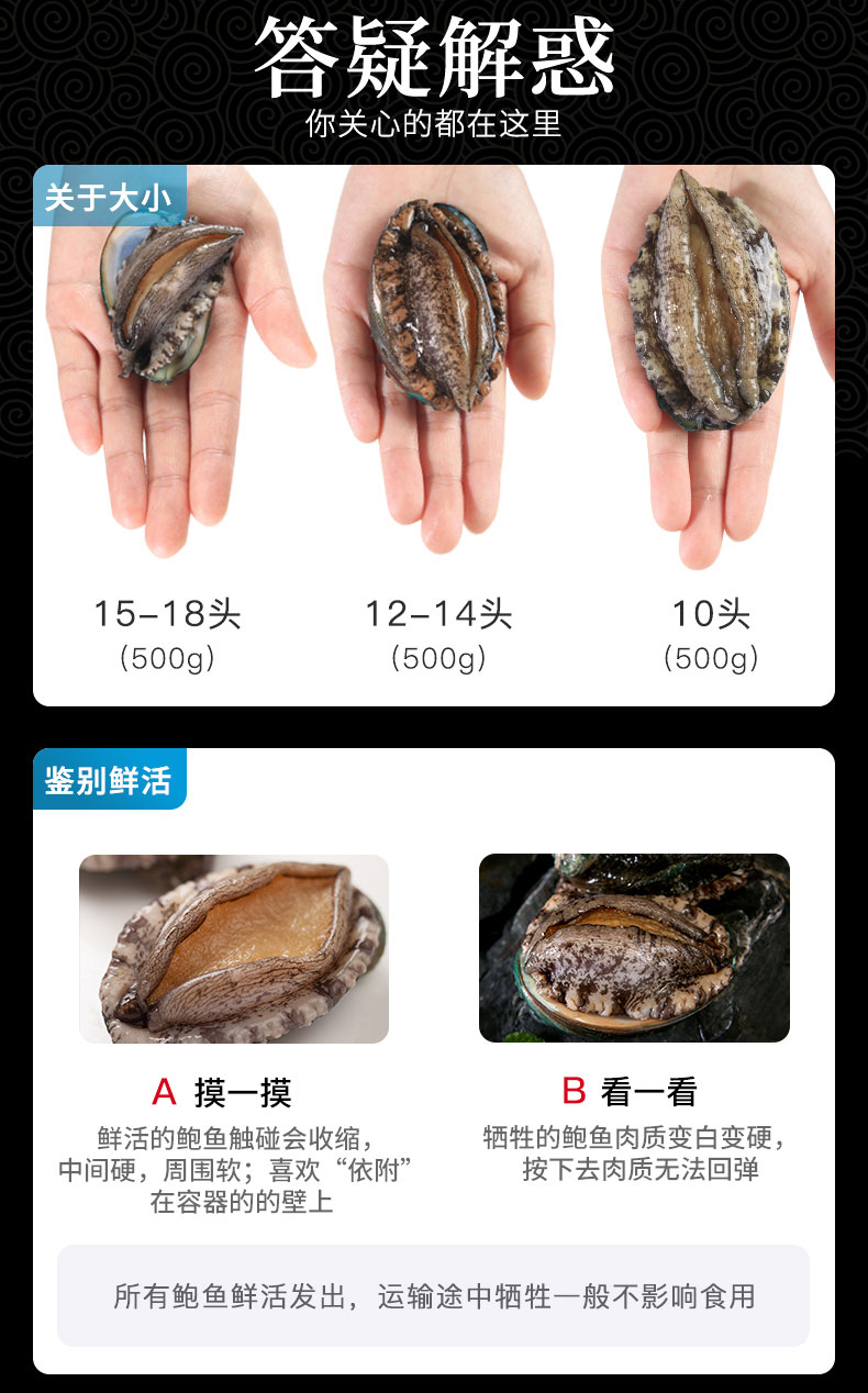 鲍鱼的养殖技术(鲍鱼养殖技术教程)