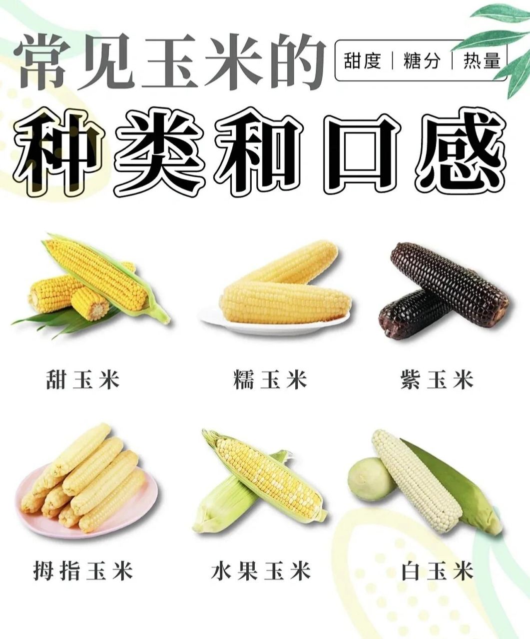 水果玉米的储存方法(水果玉米的储存方法视频)