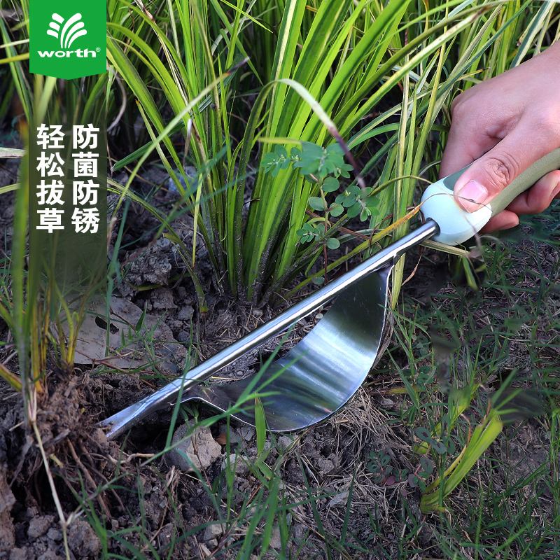 除草的(除草的农药有哪些)