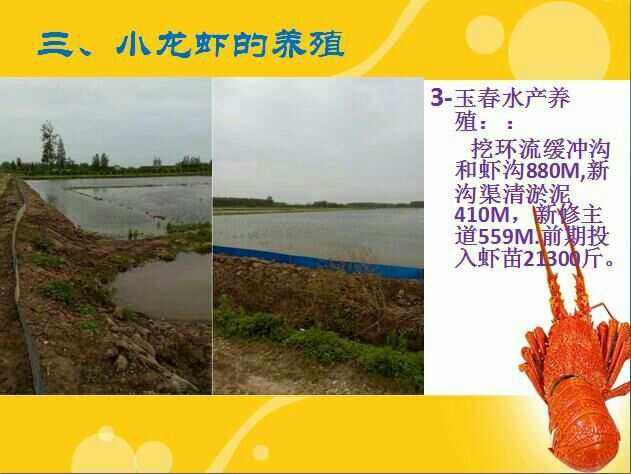 关于水产养殖的知识(关于水产养殖的知识点总结)