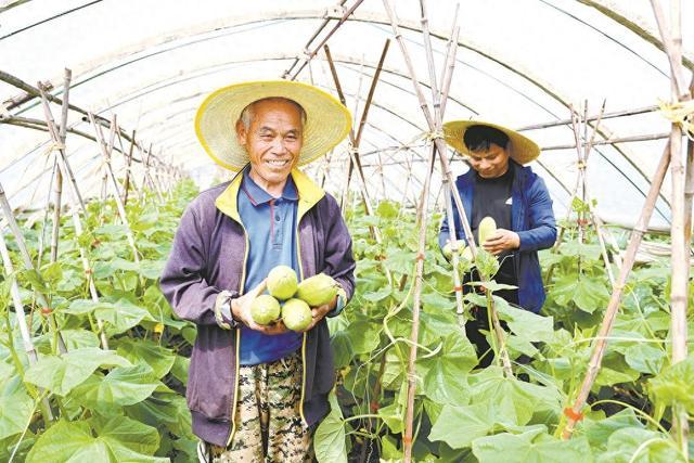 农民种的蔬菜超标怎么处罚(农民种的蔬菜超标怎么处罚的)
