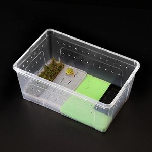 黄粉虫怎么繁殖(黄粉虫怎么培育出来的?)