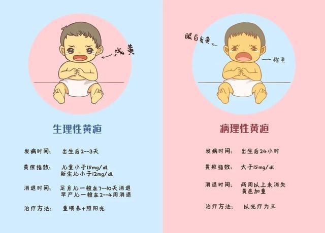 宝宝黄疸高妈妈能吃胡萝卜吗(宝宝有黄疸妈妈可以吃胡萝卜吗?)