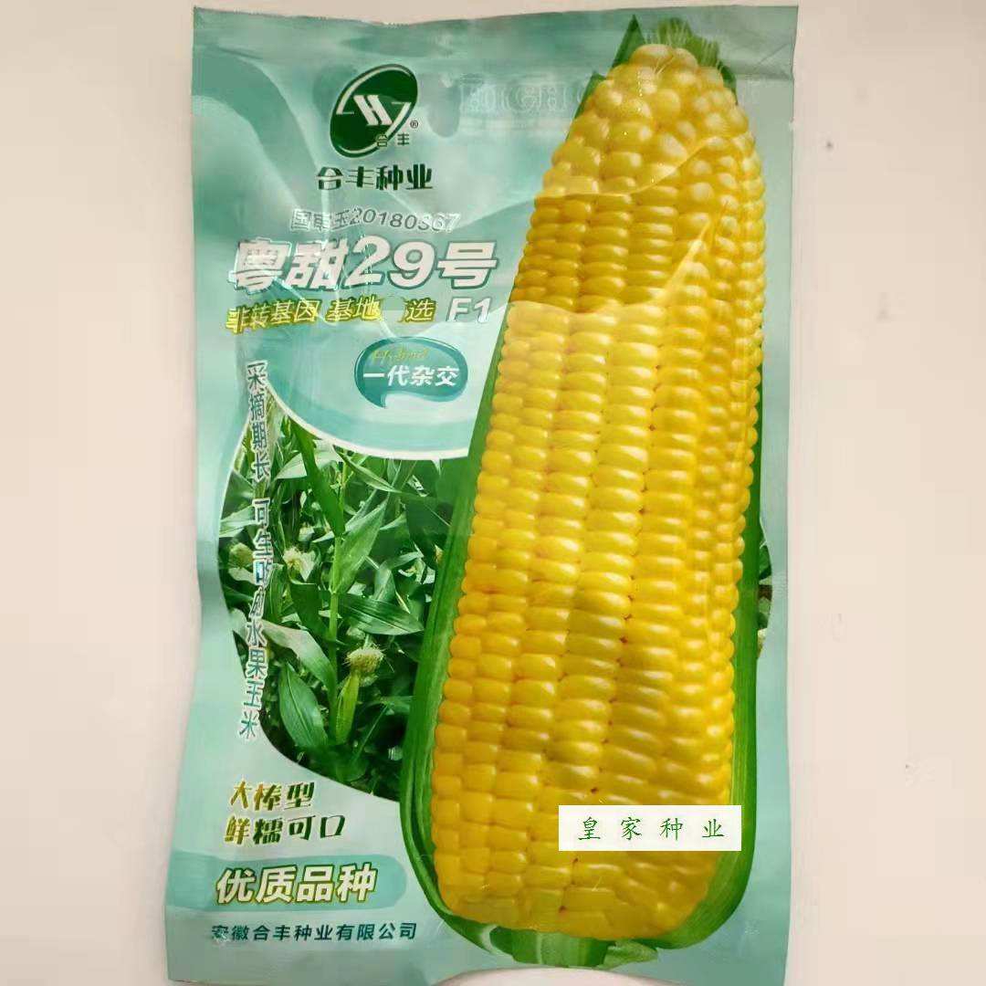 品牌玉米种子排行榜(排名第一的高产玉米品种)