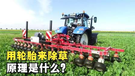除草插件(2020最新除草辅助)