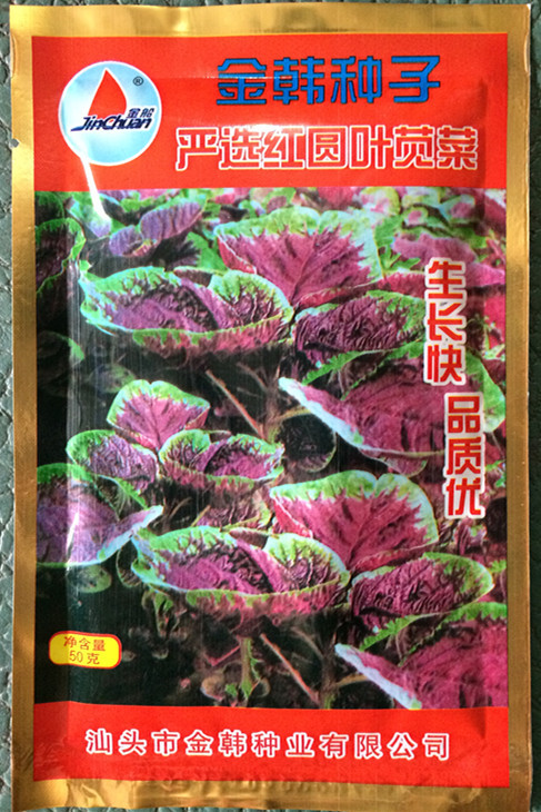 汉菜种子怎么种(汉菜种子怎么种植方法)