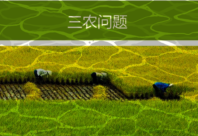 三农指的是哪三农?(三农指的是哪三农工作)