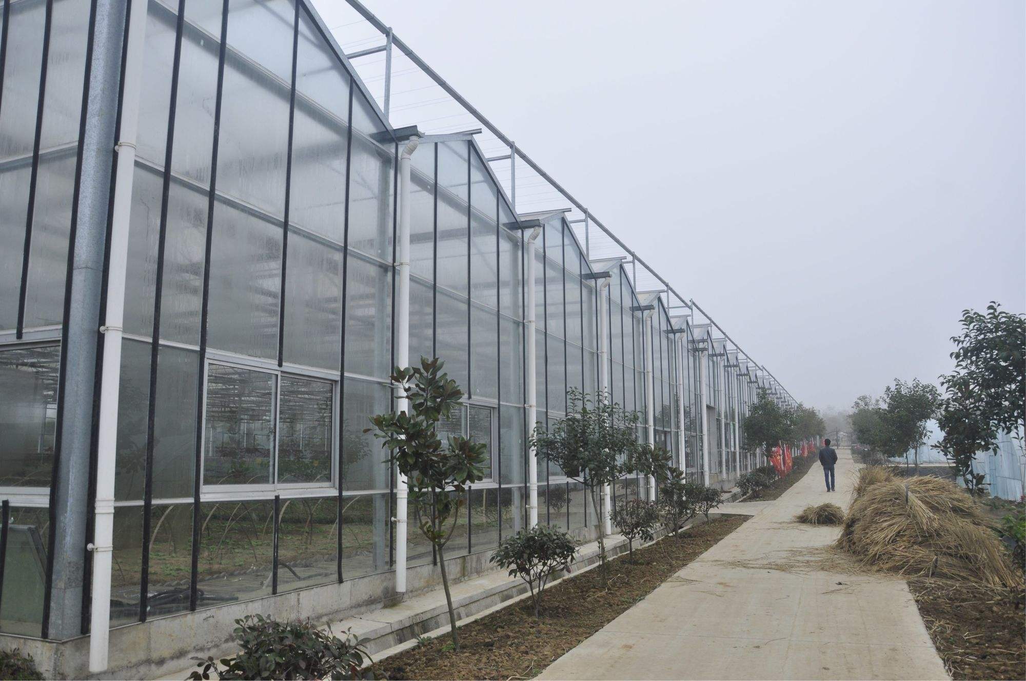 设施蔬菜种植(设施蔬菜种植采收后棚室处理及播前处理)