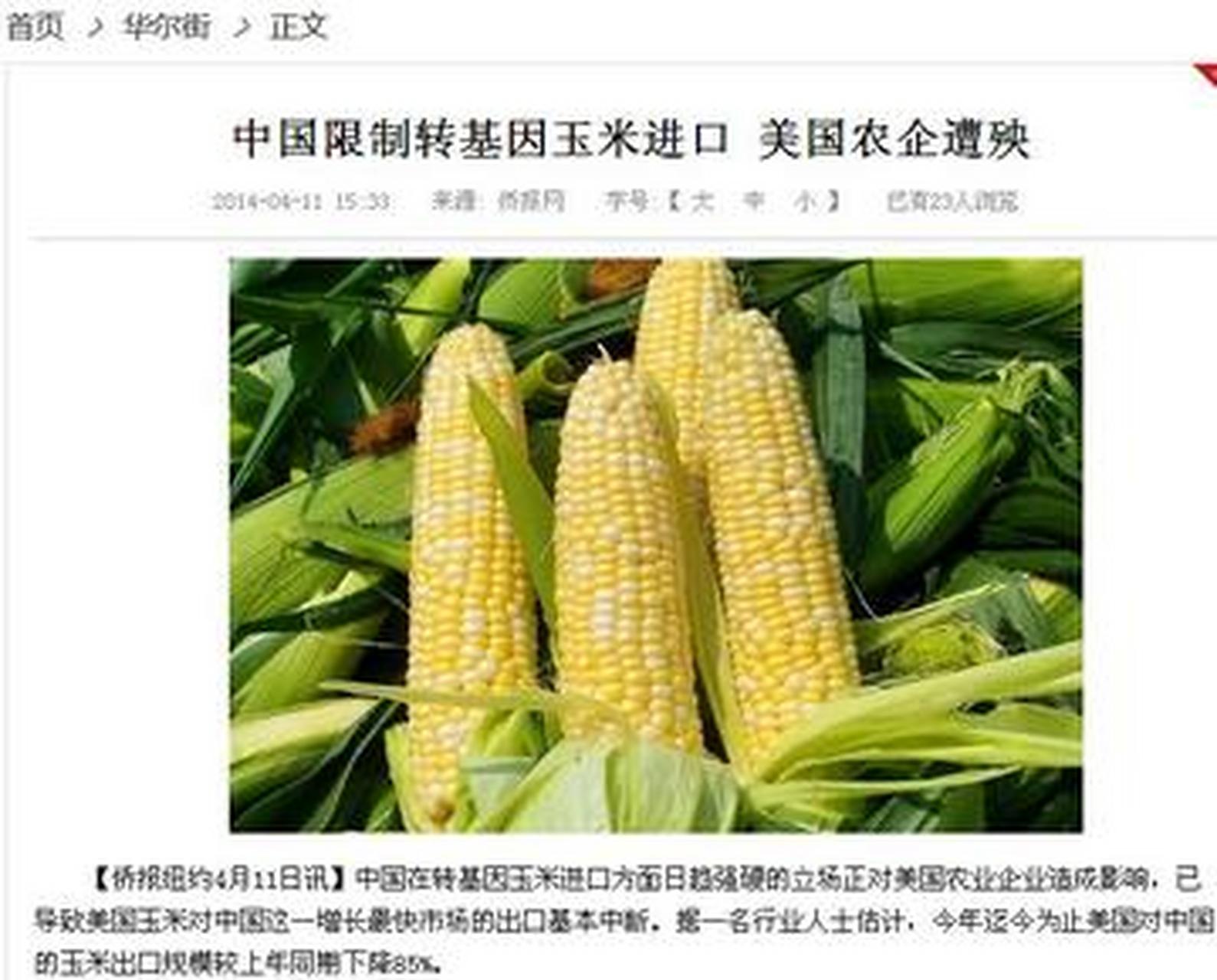 转基因玉米长什么样子?(转基因玉米长什么样 对比)