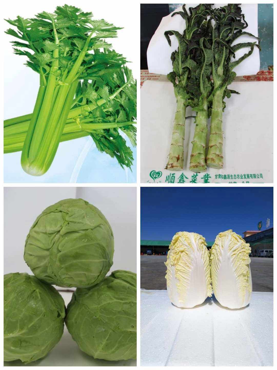 蔬菜等(蔬菜等农产品价格大幅波动不时发生)
