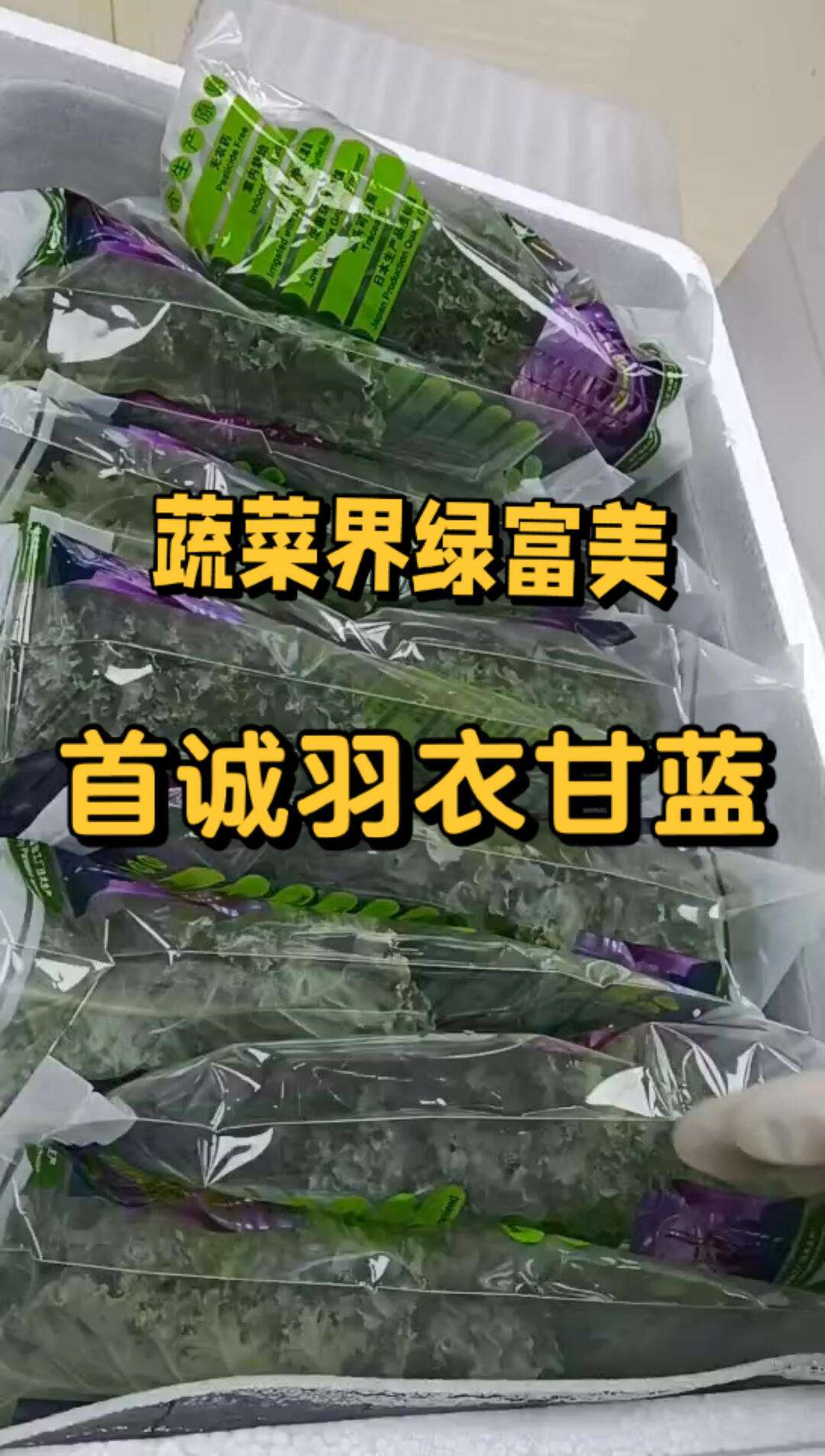 羽衣甘蓝农药(羽衣甘蓝有哪些病虫害)