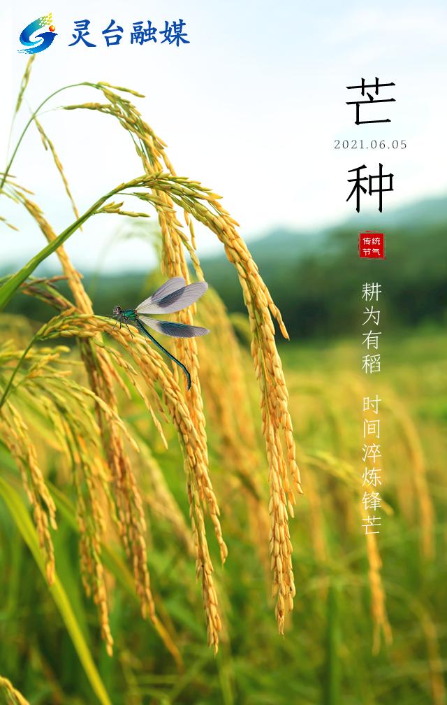 播种与收货(播种与收货短文读了这篇文章,你明白了什么道理)