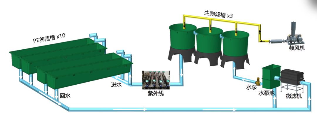 海水养殖循环水处理(海水养殖循环水处理新技术)