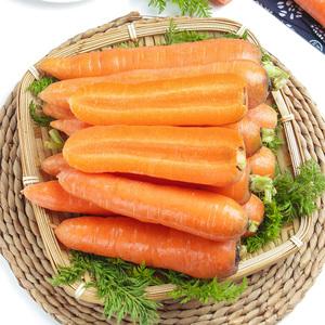 胡萝卜甜味(胡萝卜甜味来自于什么)